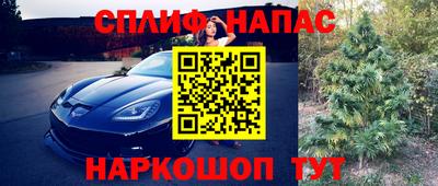 индика Бузулук