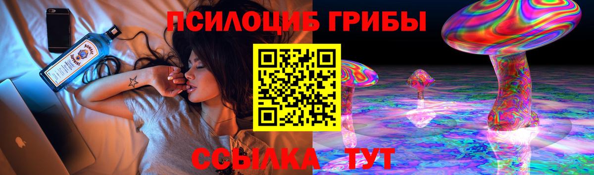 Пенза  Галлюциногенные грибы Psilocybine cubensis  Вход с VPN  Псилоцибиновые грибы MAGIC MUSHROOMS 